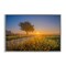 Stupell Industries Rising Sun Horizon Framed Giclee Wall Art Design by Marty Hulsebos